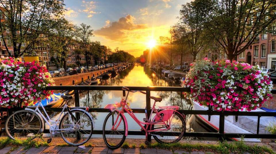 Cycle Amsterdam to Bruges - Utracks - Holland - Image 5
