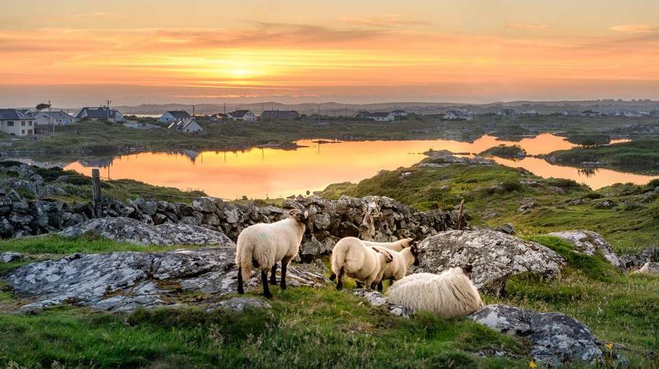 Irish Elegance - Insight Vacations - Ireland - Image 5