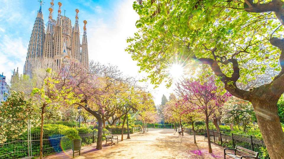 Highlights of Spain - Insight Vacations - Spain - Image 4