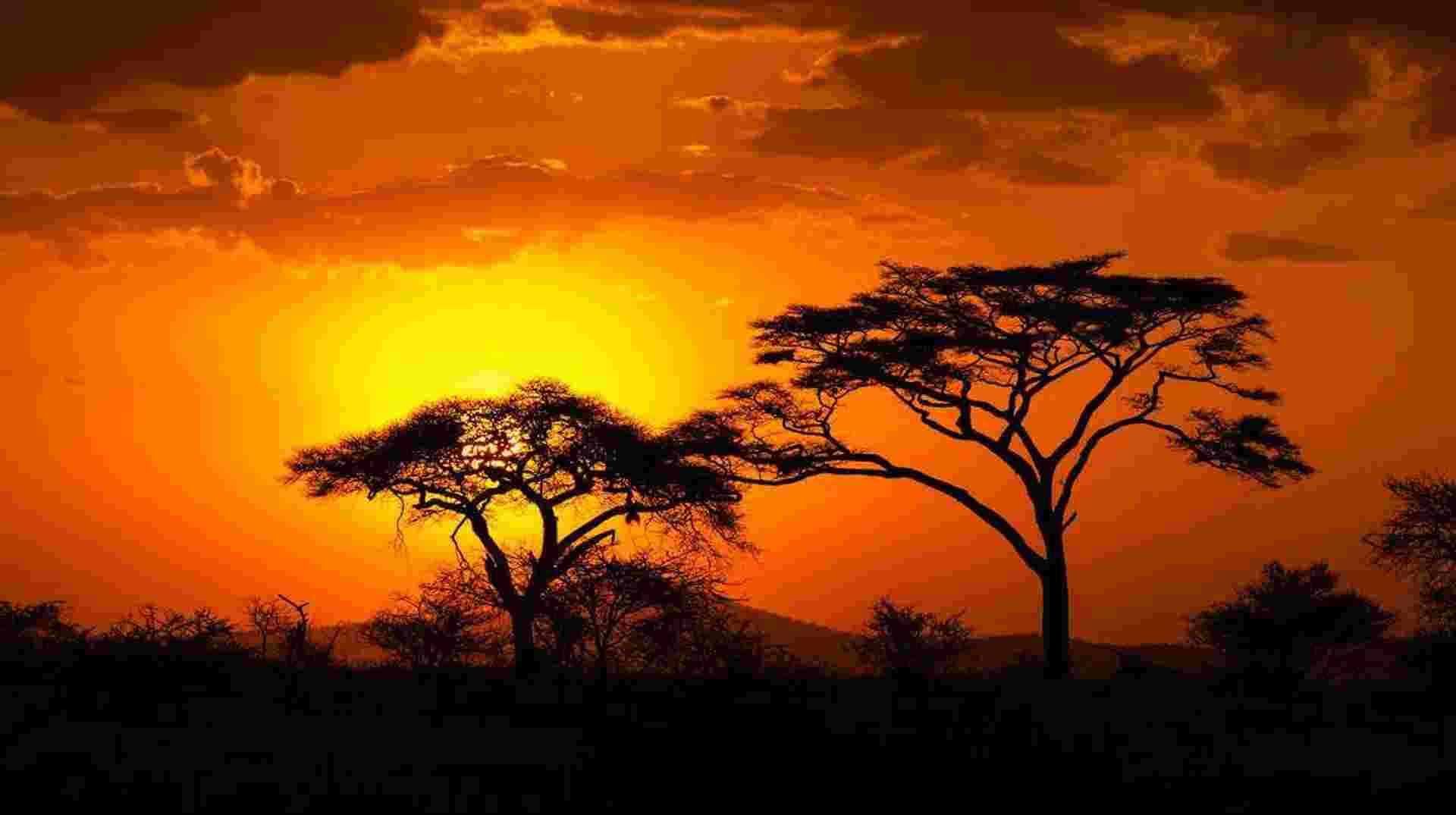 South Africa & Eswatini