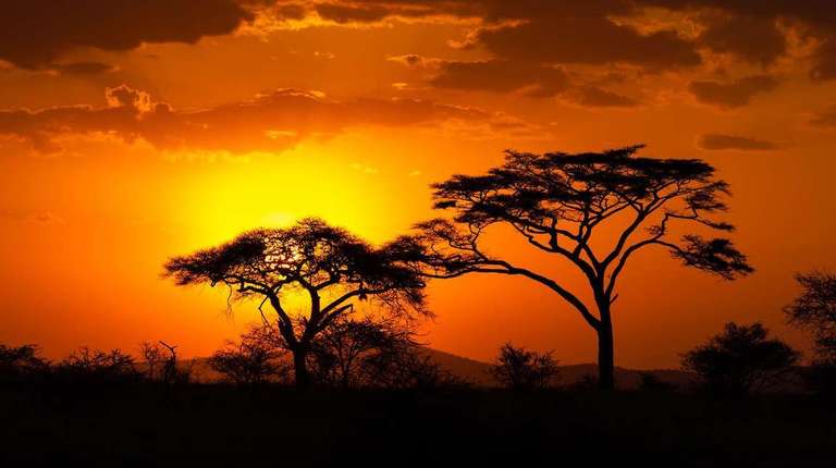 South Africa & Eswatini - November 2026