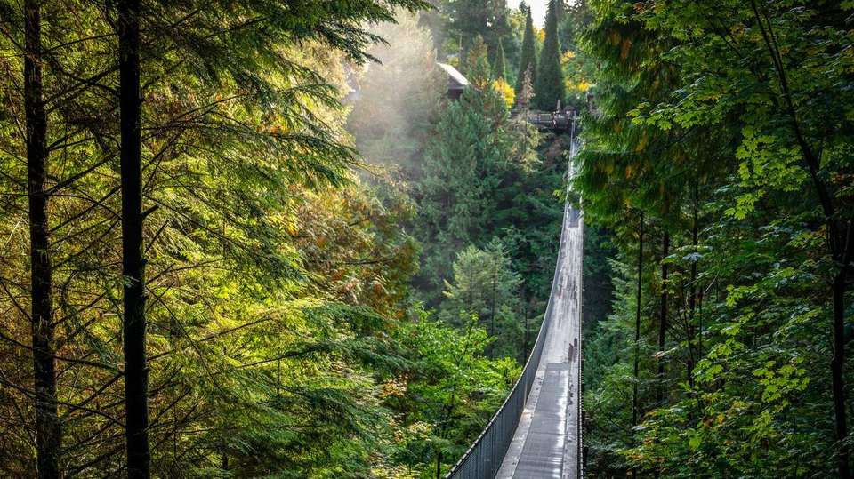Canadian Rockies and Pacific Coast - undefined - Image 4