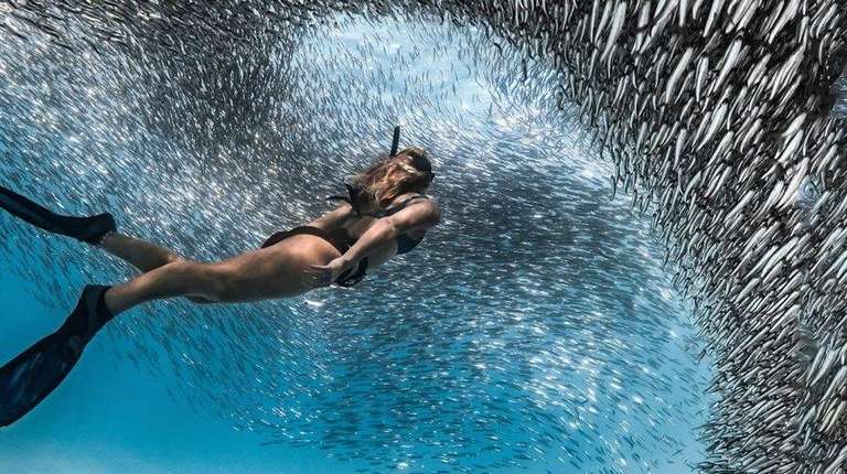 Oceania Adventure Tour: Untamed Pilbara and West Coast