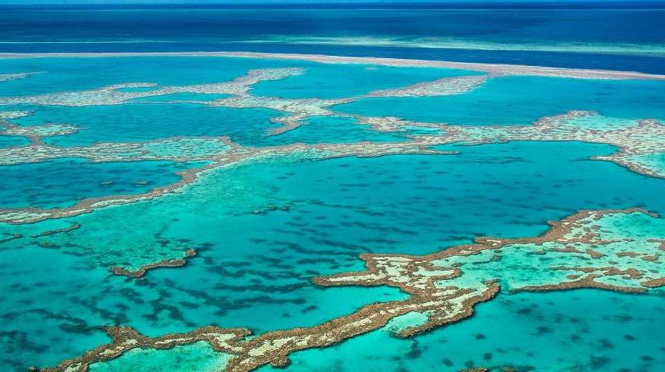 Australian Highlights - Aat Kings - Australia