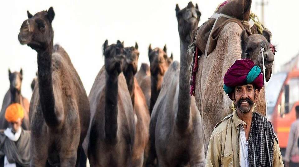 Royal Rajasthan With Agra & Varanasi - Gets Holidays Pvt Ltd - India