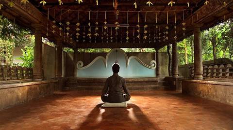 Kerala Visits & Ayurveda (somatheeram) - 14 Days