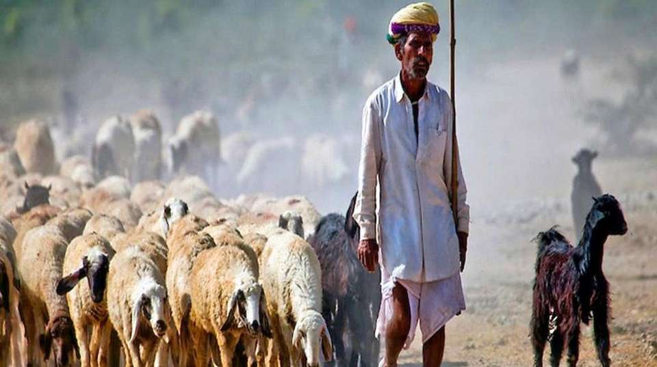 HIGHLIGHTS OF RAJASTHAN - Gets Holidays Pvt Ltd - India - Image 2
