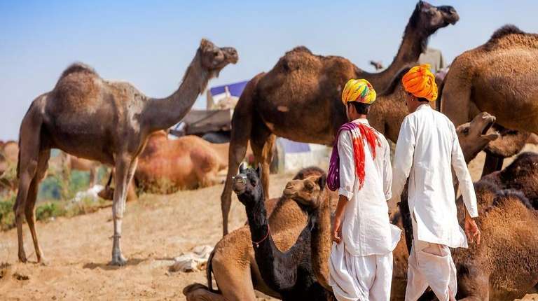 New Delhi Local culture Tour: BEST OF NORTH INDIA WITH MUMBAI & VARANASI