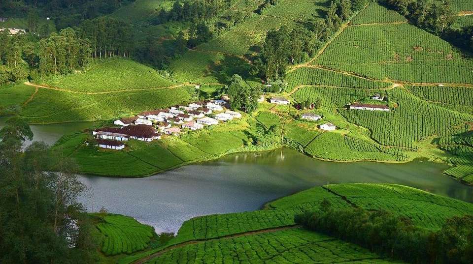 Best of Kerala & Tamil Nadu - undefined - Image 3