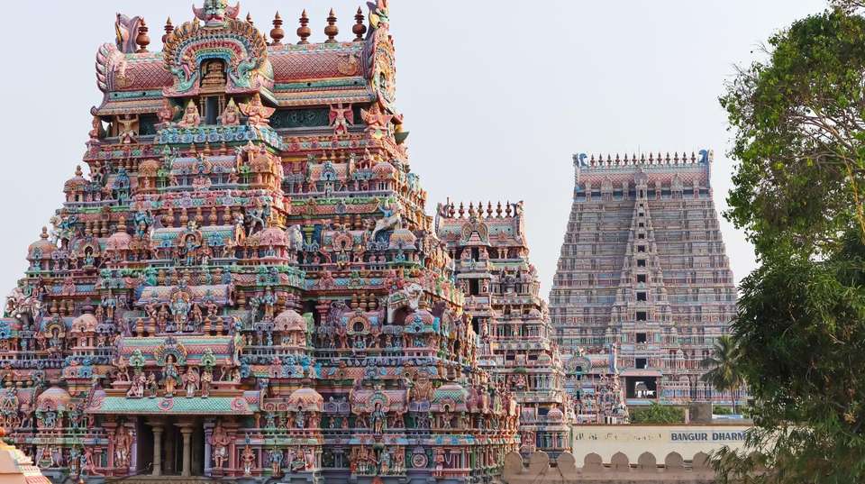 The Temple Run: Tamil Nadu  - Bout India Tours Pvt Ltd - India - Image 6