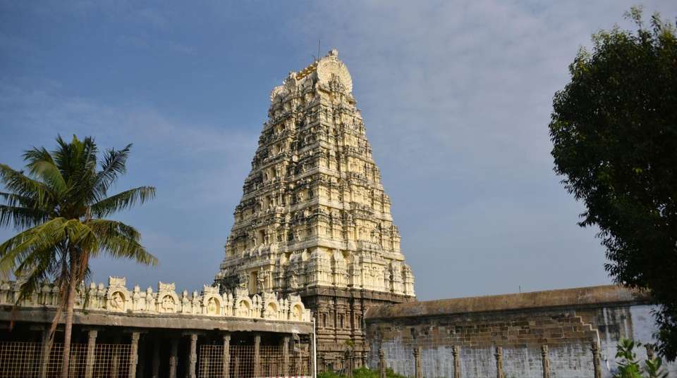 The Temple Run: Tamil Nadu  - Bout India Tours Pvt Ltd - India - Image 7