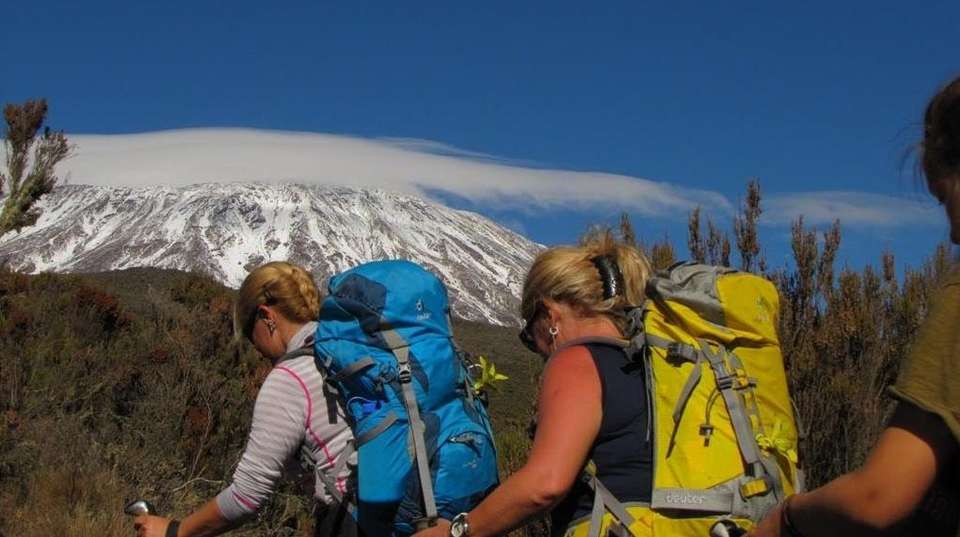 Kilimanjaro Trekking  - Rongai route - Africa Joy Tours - Tanzania