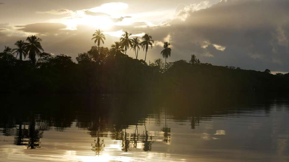 Explore Tortuguero: The Amazon of Costa Rica  - Green World Adventures - Costa Rica - Image 2