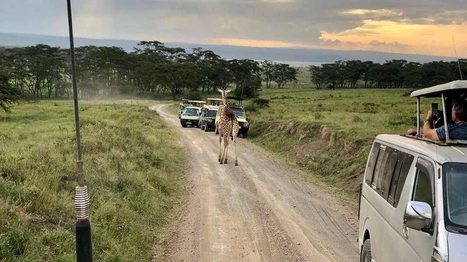 7 DAYS PERFECT BLEND SAFARI - Sir Michaels Tours And Safaris - Kenya - Image 4