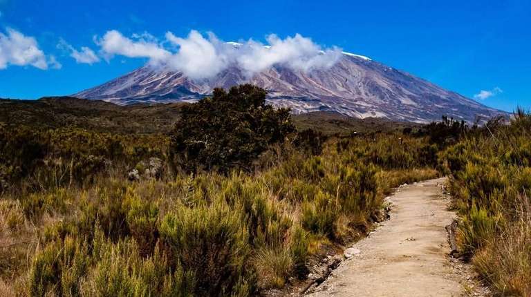 Mount Kilimanjaro Climb Via Lemosho Route trip - alternative tour available