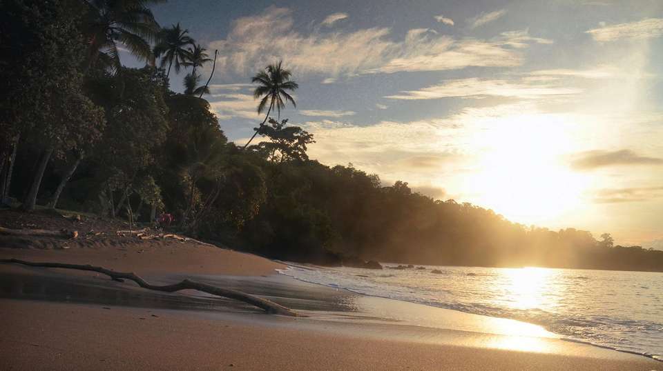 Four Days in Osa Peninsula: Corcovado National Park - Green World Adventures - Costa Rica - Image 6