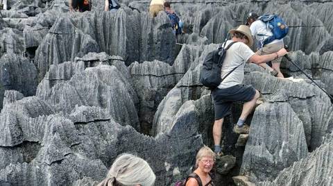 From Rainforest To Razor Rock - May 2027