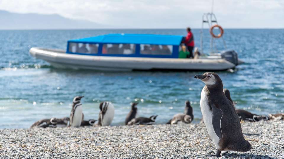 Family Adventure in Patagonia - Say Hueque Argentina & Chile Journeys - Argentina - Image 6