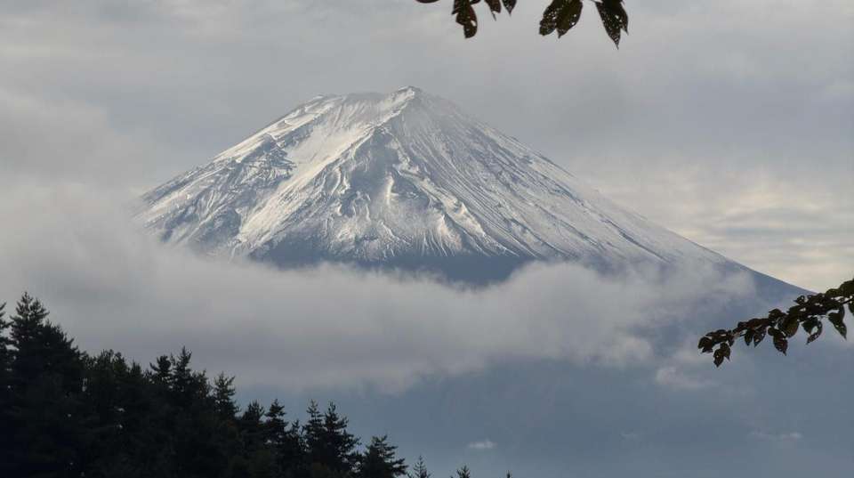 Image 9 of 15