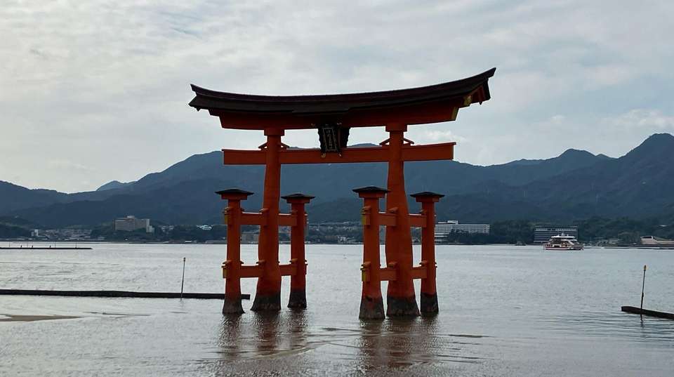 Image 13 of 15