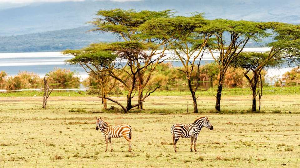 2-Day Hell's Gate, Lake Naivasha & Crescent Island - Gracepatt Ecotours Kenya - Kenya - Image 3