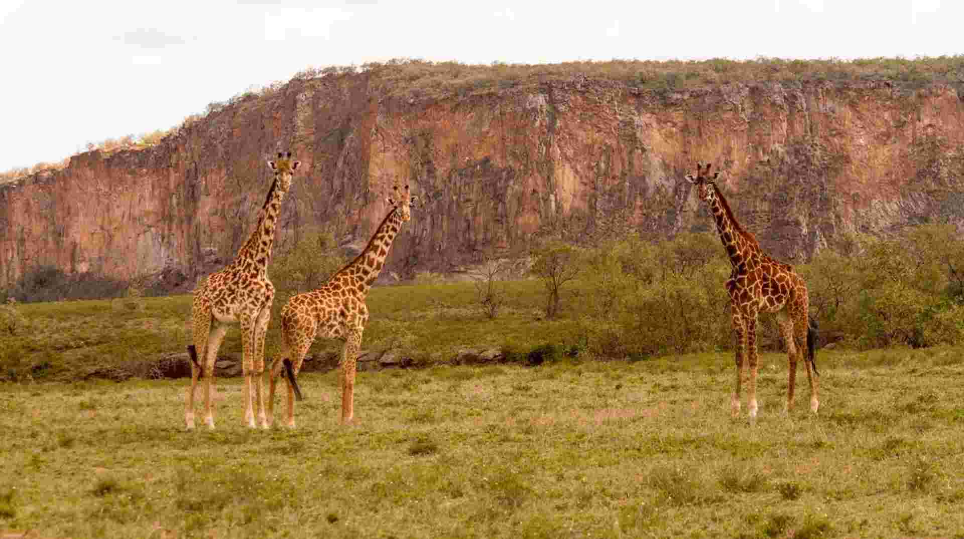 2-Day Hell's Gate, Lake Naivasha & Crescent Island