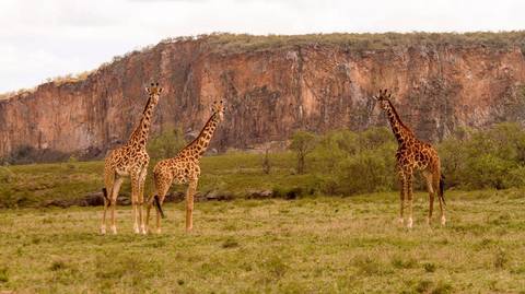 2-day Hell's Gate, Lake Naivasha & Crescent Island