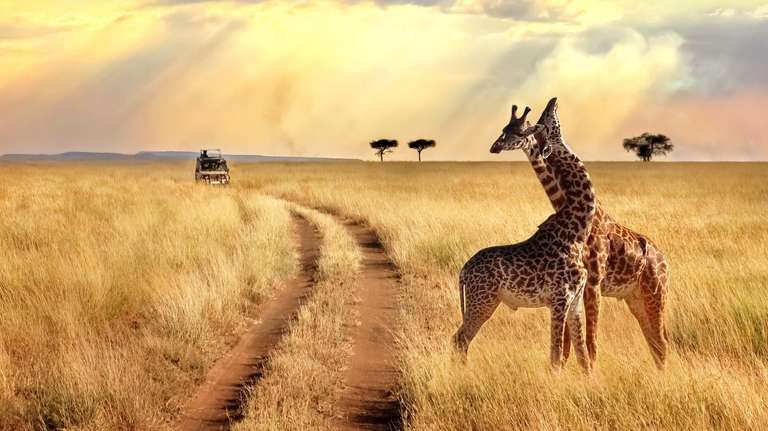 5-Day Affordable Wildlife Safari in Kenya