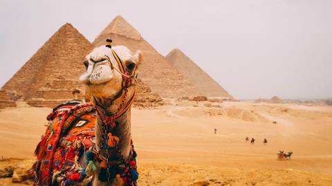 City Sightseeing Tour: Cairo City Break