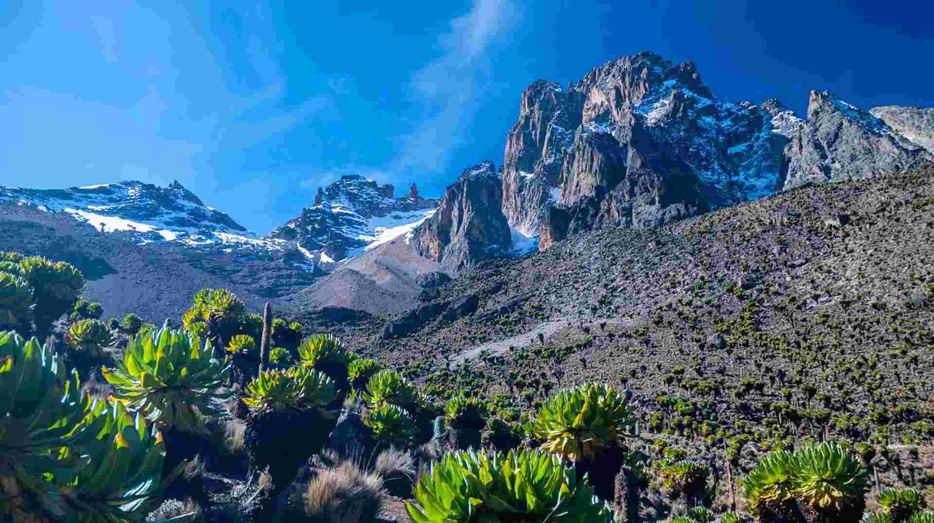 4 Days Mount Kenya - Through Sirimon Route