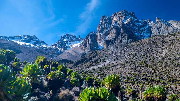 Kenya Trekking and Hiking Tour: 4 Days Mount Kenya - Through Sirimon Route