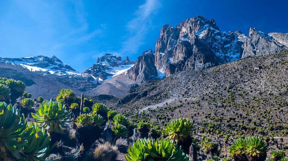 4 Days Mount Kenya - Through Sirimon Route - Gracepatt Ecotours Kenya - Kenya - Image 1