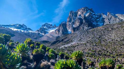 Kenya Experienced Travelers Trips: 4 Days Mount Kenya - Through Sirimon Route