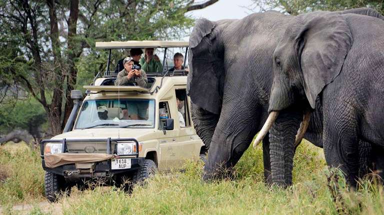 4 Day Tanzania Safari Lake Manyara - 4 days