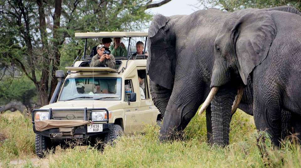 4 Day Tanzania Safari Lake Manyara - Africa Joy Tours - Tanzania - Image 1