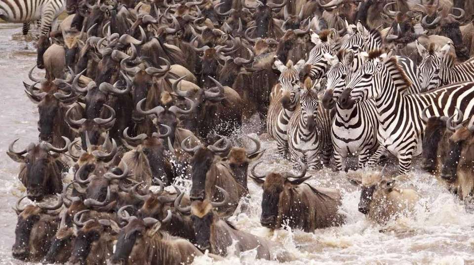 10 Days Base Camp Safari Tanzania - Africa Joy Tours - Tanzania - Image 5