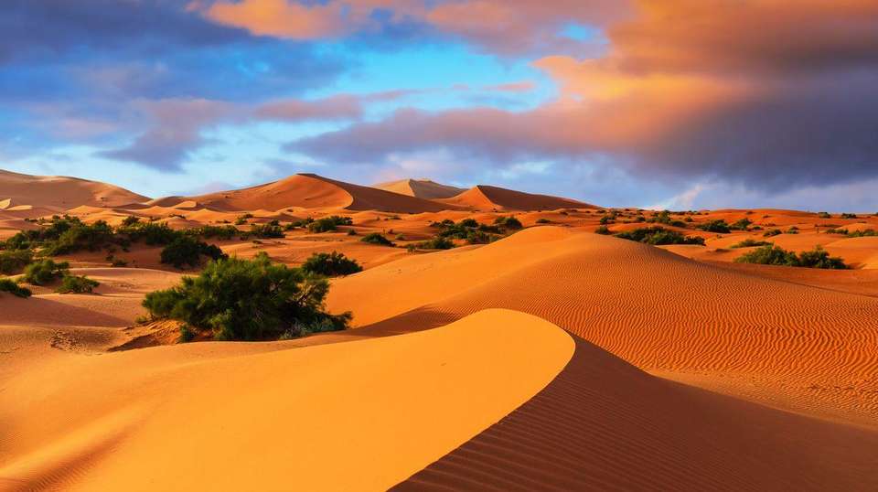 Highlights of Morocco - Ciconia Travel - Morocco - Image 3