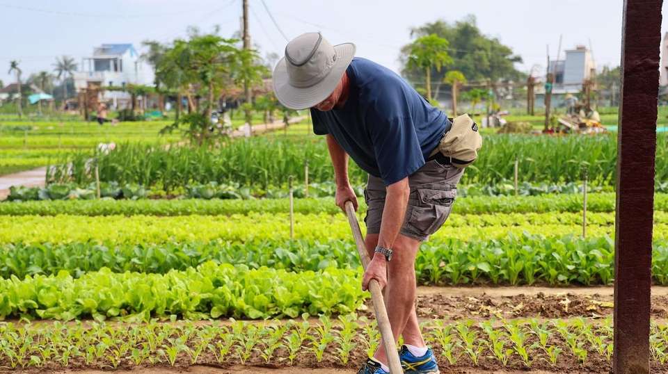 Magical Vietnam: Cruise, Caves, and Ancient Town Wonders - Footsteps Indochina Travel - Vietnam - Image 11