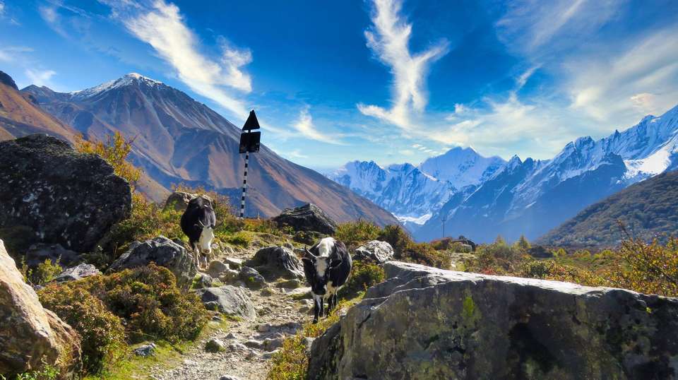 Langtang and Tamang Heritage trek - Encounters Travel - Nepal - Image 7
