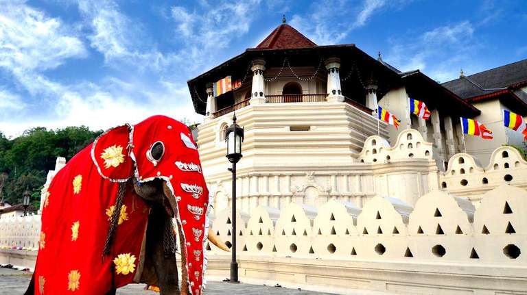 Pearl of Sri Lanka Discovery Tour trip - alternative tour available
