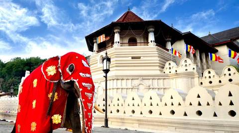 Pearl Of Sri Lanka Discovery Tour