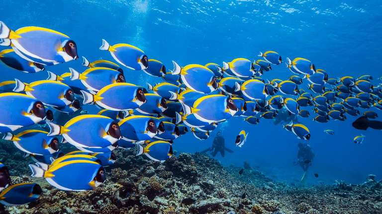 Maldives Island Explorer - 8 days
