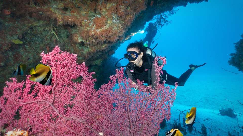 Maldives Island Explorer - Encounters Travel - Maldives - Image 4