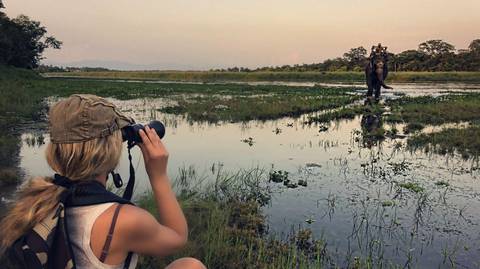 Nepal Wildlife Safari Group Tour - Spring Tours
