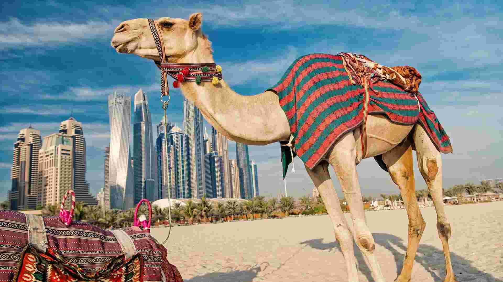 Dubai Stopover - 4 days