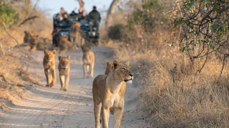 7-day Kruger to Victoria Falls Camping trip - alternative tour available