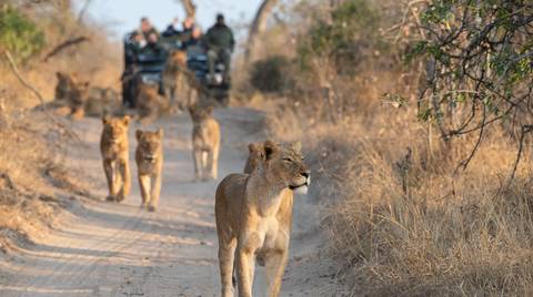 7-day Kruger To Victoria Falls Camping - Winter Tours
