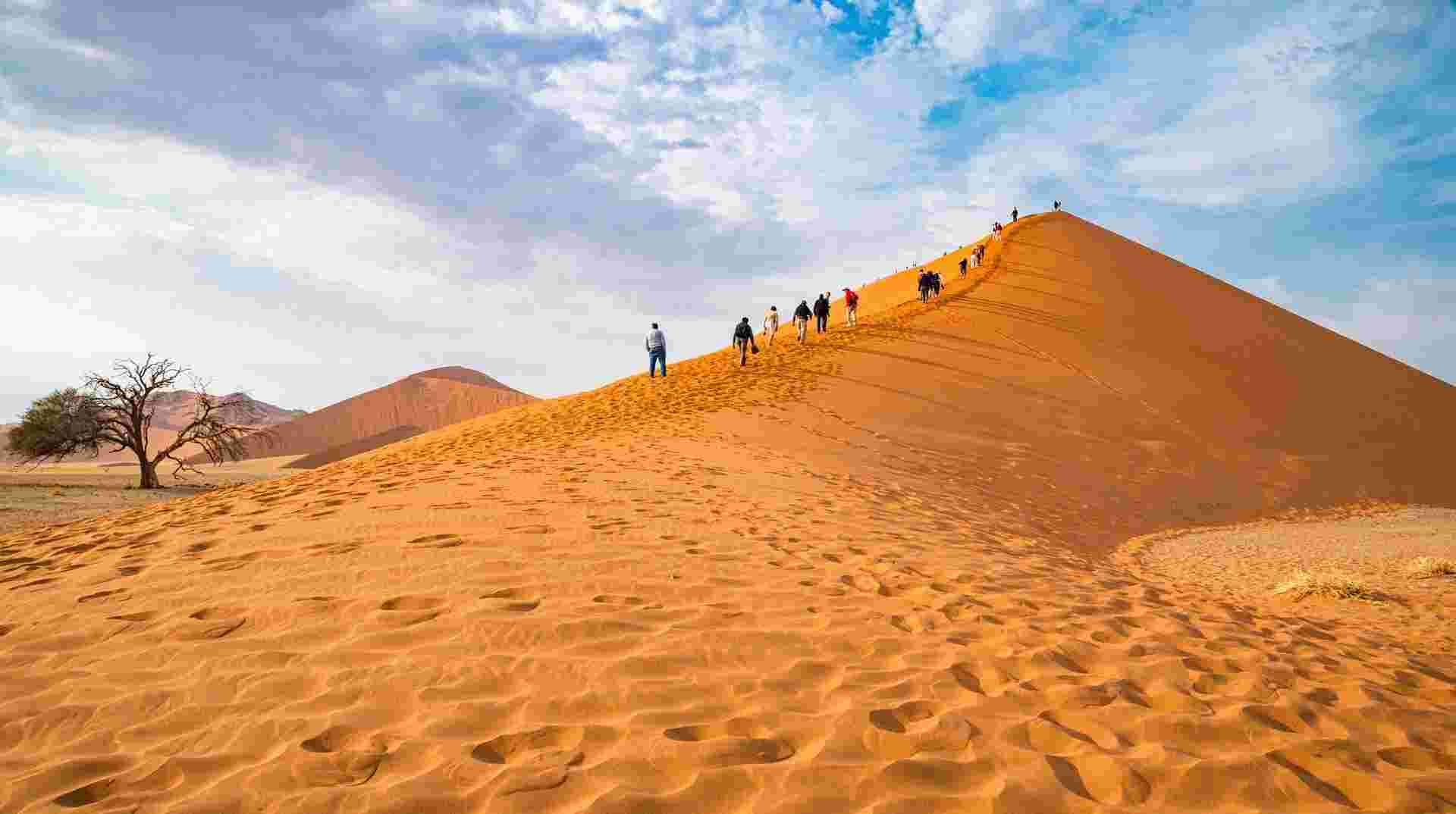 11-day Namibia to Cape Town Camping