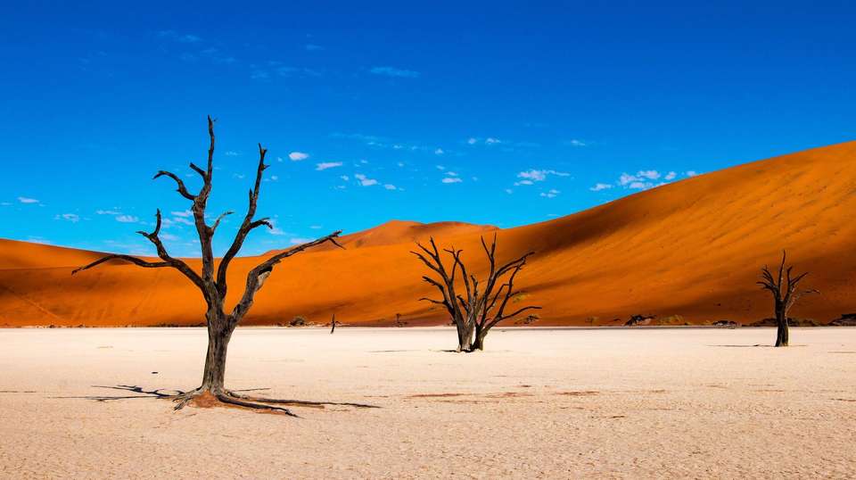 11-day Namibia to Cape Town Camping - Acacia Africa - Namibia - Image 2