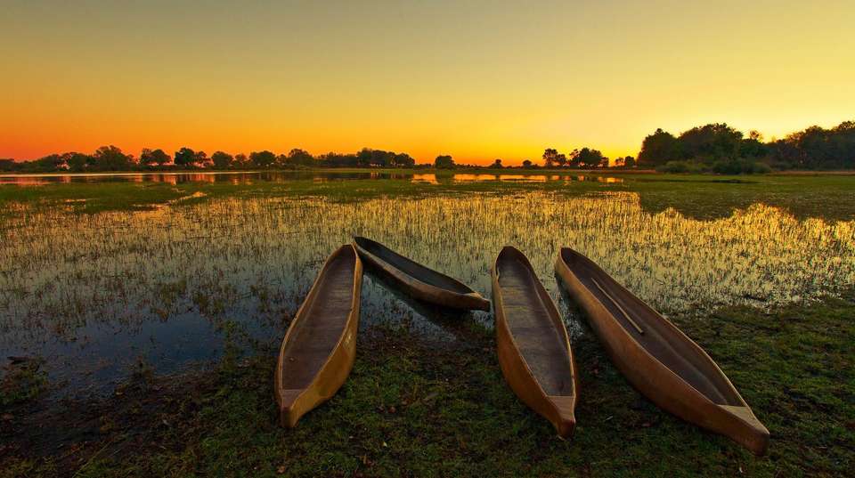 12-day Etosha Okavango Delta Express Camping - Acacia Africa - Namibia - Image 3